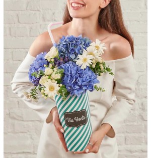 Aranjman Blue 1